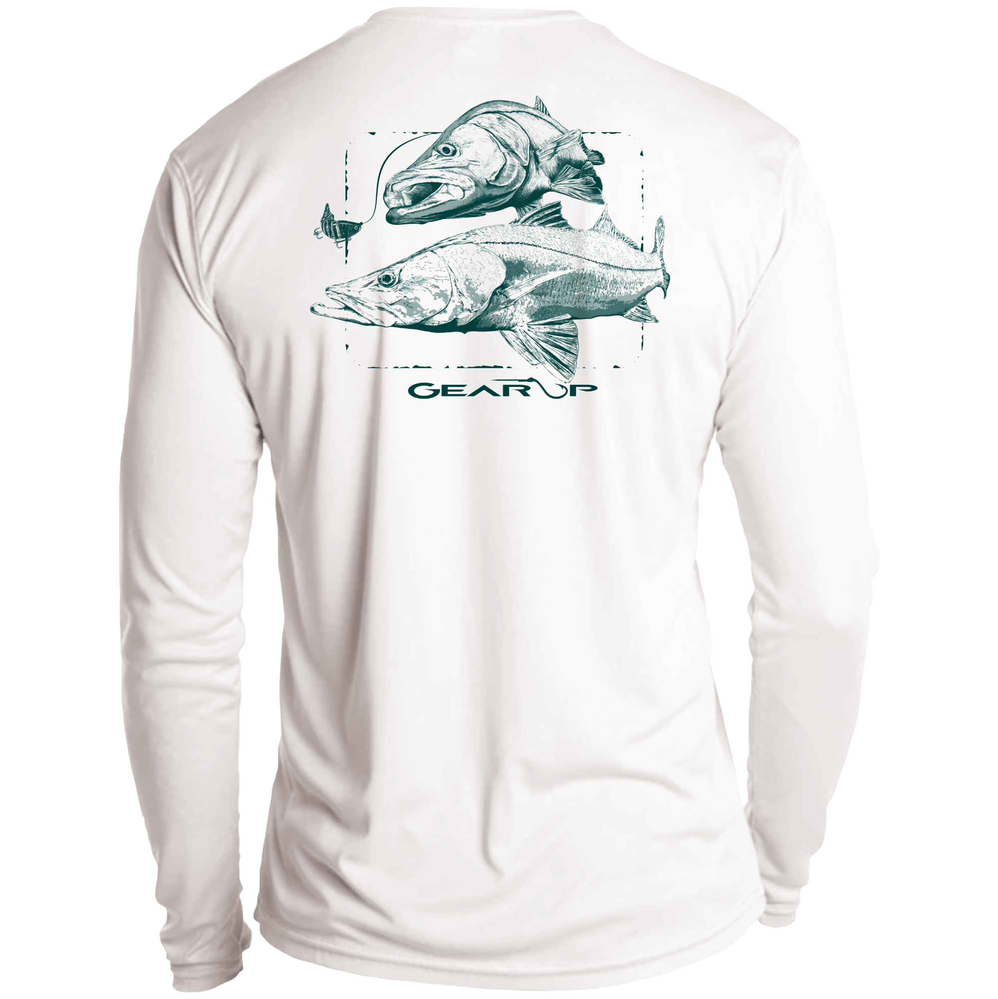 Dual Snook